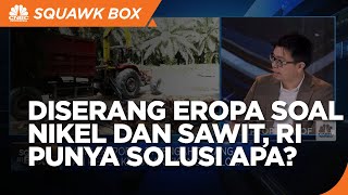 Diserang Eropa Soal Sawit Hingga Nikel RI Punya Solusi [upl. by Otanutrof]