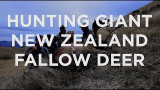 Hunting Giant New Zealand Fallow Deer [upl. by Keviv]