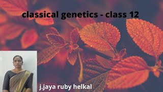 Classical Genetics class 12  Botany  Tamil medium [upl. by Intruoc]