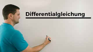 Differentialgleichung lösen linear inhomogen konstante Koeffizienten  Daniel Jung [upl. by Sej]