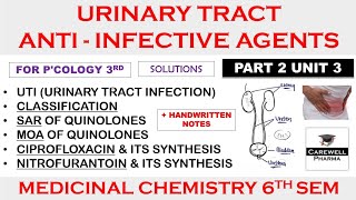 Urinary tract anti infective agents  Medicinal Chemistry 3  Pharmacology 6th semester [upl. by Airod]