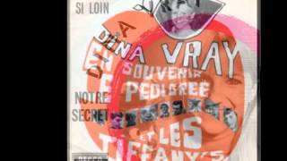 Dina Vray  Notre secret [upl. by Brindell]