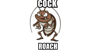 COCKroach [upl. by William]