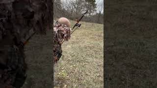 Turkey Hunting Practice With Broadheads [upl. by Aharon62]