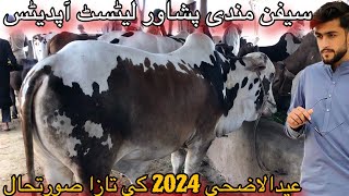 Sepan Mandi Peshawar Latest Updates  2024 [upl. by Nisaj]