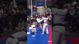 Kukkiwon World Taekwondo Demonstration Team Times Square New York City [upl. by Crabb759]