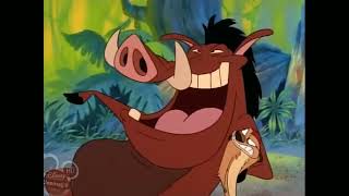 Timon amp Pumbaa Cartoon Theme [upl. by Rivera]