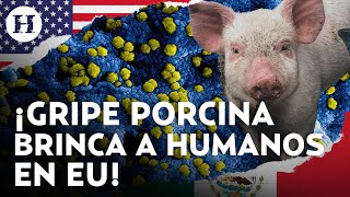 ¡Alerta en EU Reportan primer caso de gripe porcina en un humano en Michigan [upl. by Clio504]