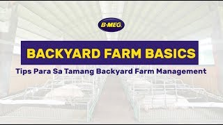 Ibatibang tips para sa tamang backyard farm management [upl. by Alleuqram]