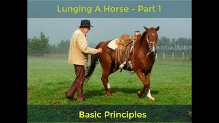 Lunging Part 1  The Basic Principles [upl. by Frederiksen819]