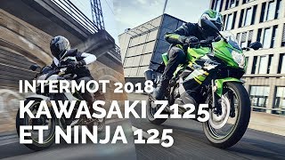 Kawasaki Z125 et Ninja 125  nouveautés 2019 [upl. by Alegnaed]