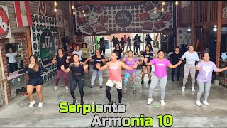 Serpiente Armonia 10 [upl. by Laehcar950]