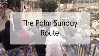 The Palm Sunday Route Virtual Tour of Israel [upl. by Sager933]