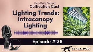 Cultivation Cast  Lighting Trends Intracanopy Lighting [upl. by Carrew805]