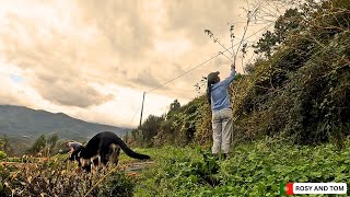 Daily life on our Portugal Homestead ❤️ [upl. by Danyluk329]