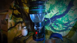 Best Brine Shrimp Hatchery and How I Made It Feeding Newborn Fish [upl. by Wendel]