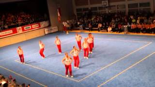 STV Frauenfeld  Team Aerobic [upl. by Idisahc]