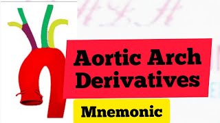 Aortic Arches Derivatives Mnemonic  MedSurvival [upl. by Atsiuqal]