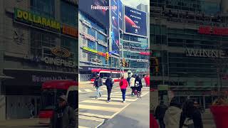 TORONTO YongeDundas Square torontocanada travel travelling downtowntoronto landmark [upl. by Etnaik264]