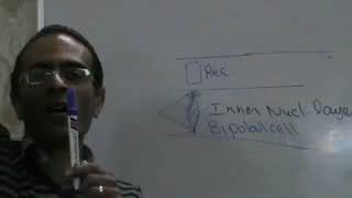 Vision Photoreceptor potential part 1 Dr Mohamed Fayez [upl. by Hong]