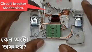 How to work MCB Circuit breaker Mechanism [upl. by Irrab26]