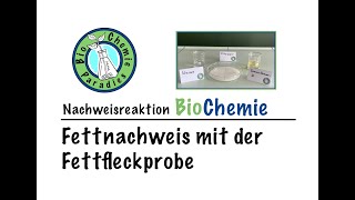 Nachweisreaktion BioChemie – Fettnachweis mit der Fettfleckprobe [upl. by Angeline]