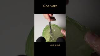 촉촉 꾸덕한 알로에베라 팅글 ASMR Moist and soft aloe vera tapping amp tingle amp trigger Good night shorts [upl. by Sillihp840]