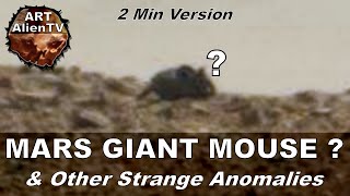 MARS GIGANTIC MOUSE  amp Other Strange Anomalies ArtAlienTV [upl. by Kussell]