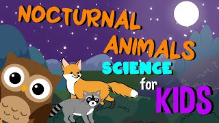 Nocturnal Animals  Science for Kids [upl. by Yelkreb795]