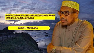 WixiiTageyHaIskuMashguulininWaliWaqtiAad HeysataaBilow sheikhMusdhaf Dhiirigalin2024 [upl. by Dilks424]