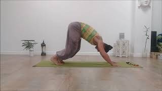 How to float from DownwardFacing Dog to Crow Pose [upl. by Rekab166]