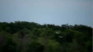 Texas Wood Storks In Flight [upl. by Ahsoym]