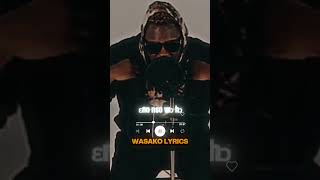 Medikal ft Sista Deby  too risky medikal medikalkaynak virallyrics ghmusicvibes musiclyrics [upl. by Drusilla67]