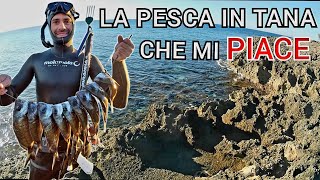 Pescasub LA PESCA IN TANA CHE MI PIACE  Spearfishing [upl. by Ammadas]