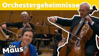 Welche Geheimnisse hat ein Orchester  DieMaus  WDR [upl. by Oilasor]