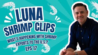 Luna Shrimp Clip 17  Whats Happening with Shrimp Exports to the US [upl. by Ynnel778]