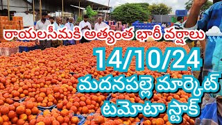 141024 Madanapalle Tomato Market price Today  Today Tomato Market Rate in Madanapalle today [upl. by Prevot41]