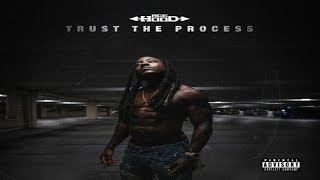 Ace Hood  BAMN Trust The Process [upl. by Dulla]