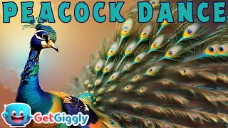 Peacock Song for Kids Peacock Dance GetGiggly Nursery Rhymes and Kids Songs [upl. by Hyacinth]