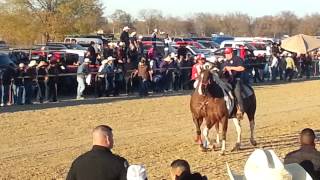 El Solito kansas vs El Minero texas revancha [upl. by Saw577]