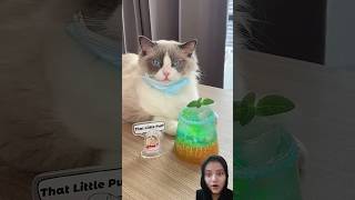 Blue Cola  That Little Puff May 03 cat satisfying cute drink funny [upl. by Derdlim706]