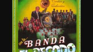 Banda El Recodo Mix De Cumbias [upl. by Kcirreg]