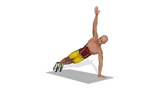 Esercizi per pettorali PushUps With Torso Rotation [upl. by Dahlia276]