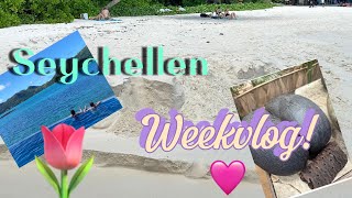 SEYCHELLEN WEEKVLOG meivakantie💗 [upl. by Padraic593]