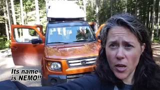 Honda Element camper conversion Nemo [upl. by Yrem]