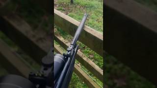 Dieseling an air rifle howto tips didyouknow farmlife usa [upl. by Clareta861]