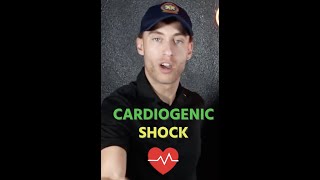 What Is CARDIOGENIC Shock [upl. by Kallman307]