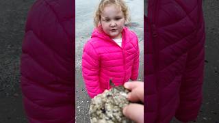 Saving a beached OYSTER Pt 1 oyster rescue shell oceanlife [upl. by Nauhs]