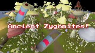 OSRS  Zygomites Slayer Guide Ancient Zygomites [upl. by Yllet]