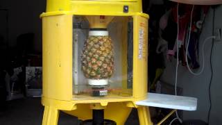 Del Monte Automatic Pineapple Peeler Corer Machine [upl. by Namajneb]